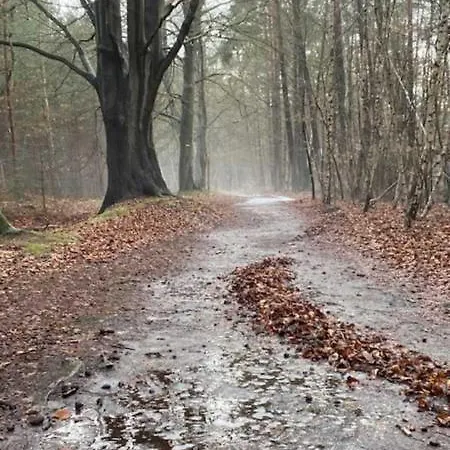 Eikkater 28 Kuestenwald Graal Gelbensande
