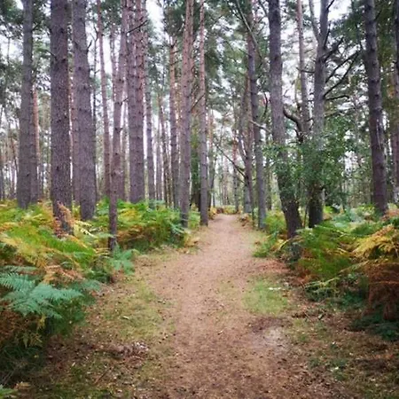 Eikkater 28 Kuestenwald Graal *
